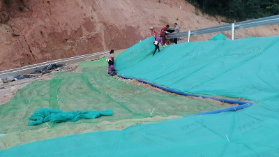 新豐縣遙田鎮(zhèn)維新至丹桂山旅游公路邊坡綠化工程