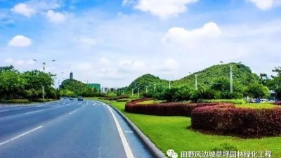 道路綠化中，城市干道植物應怎樣配置？