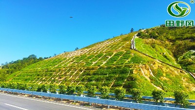 護坡綠化種草,綠化噴播機