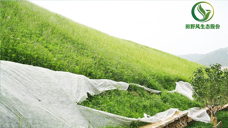 邊坡綠化、生態(tài)防護(hù)