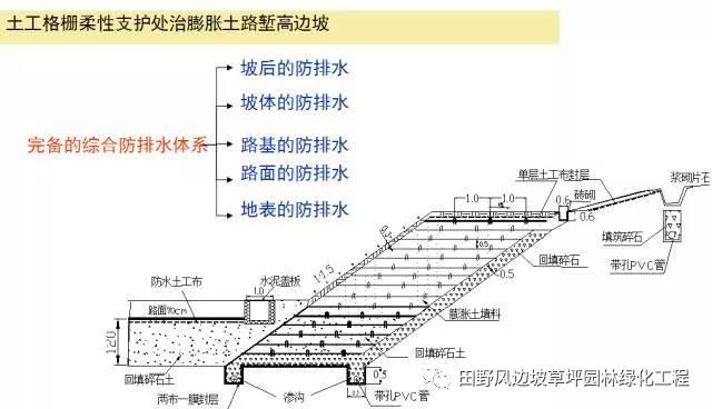 微信圖片_20200603082808