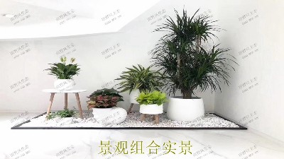 無(wú)限極綠植花卉景觀租賃案例展示