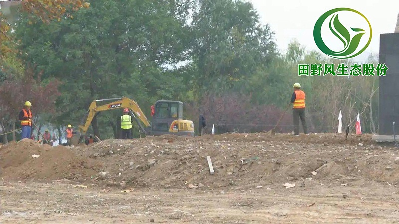 園林綠化，景觀綠化