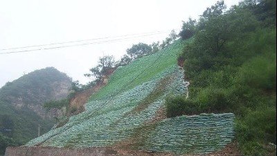 生態(tài)袋——環(huán)境保護、生態(tài)綠化、水土保持三位一體的生態(tài)護坡系統(tǒng)