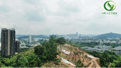 專業(yè)團隊航拍勘察公園綠化工程現(xiàn)場