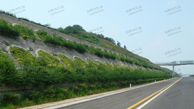 邊坡綠化對(duì)植物的選擇原則，有哪些植物推薦？