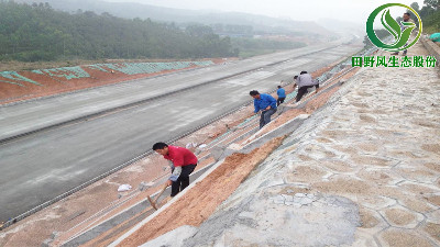 高速公路綠化，有哪些方法與竅門呢？